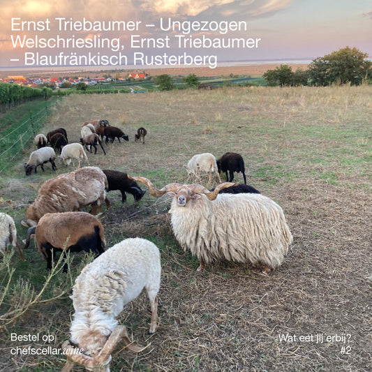 Wat eet je erbij? #2